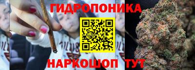 бошки Балашиха