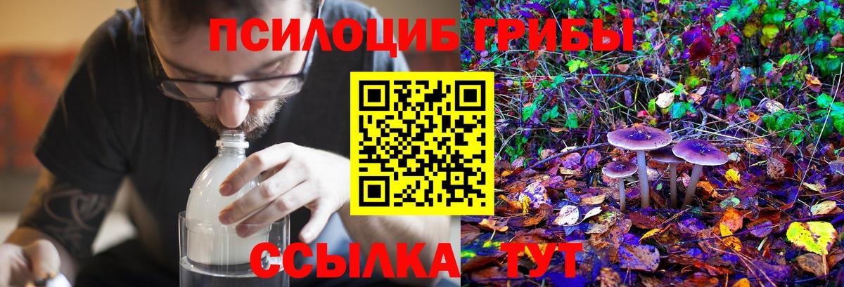 Псилоцибиновые грибы прущие грибы Гуково