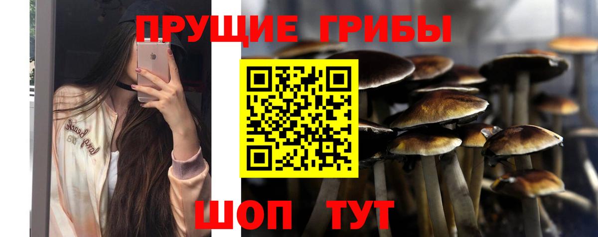 Гуково  Галлюциногенные грибы ЛСД  Вход с VPN  Псилоцибиновые грибы Magic Shrooms 